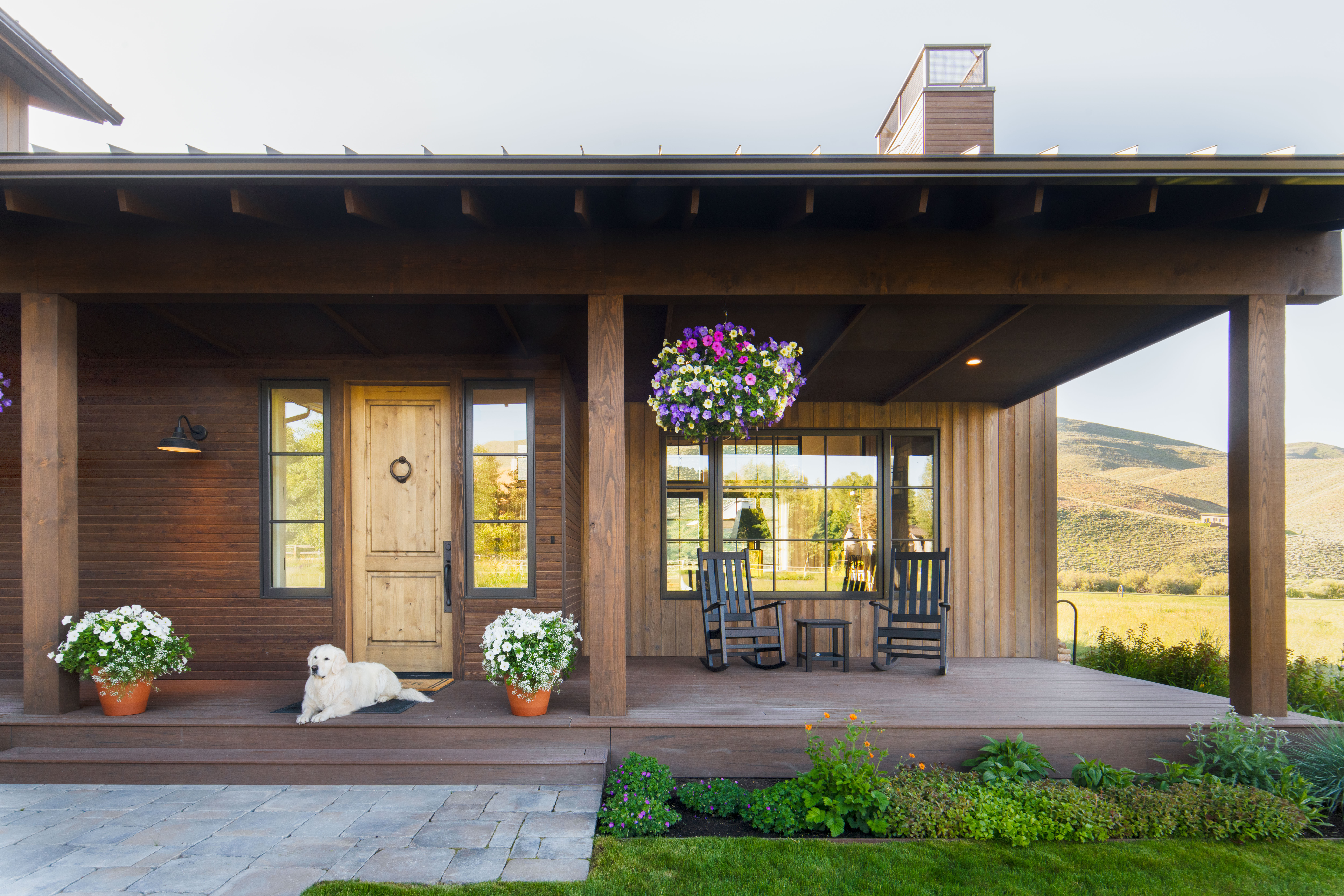 Dog lays on front porch of house. Process, planning, construction.